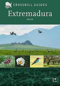 Crossbill guides Exremadura, Spain 2019